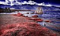 115 - MONO LAKE SHORELINE - POTTS GARY - united states